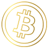 bitcoin 100